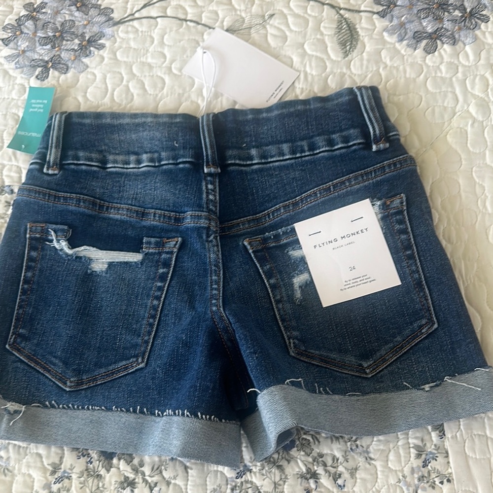 Flying monkey  Blue Women's Shorts